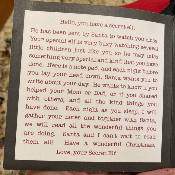 Petal Lane “Dear Secret Elf” pillow. 10” pillow with removable red slip cover. - Picture 4 of 11